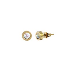 Aretes Acero Inoxidable Dorado redondo con cristal AB 6 mm